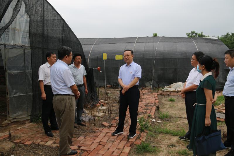 肥城市人民政府 扶贫要闻 辛涛调研脱贫攻坚工作