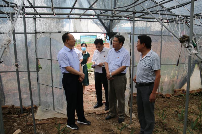 肥城市人民政府 扶贫要闻 辛涛调研脱贫攻坚工作